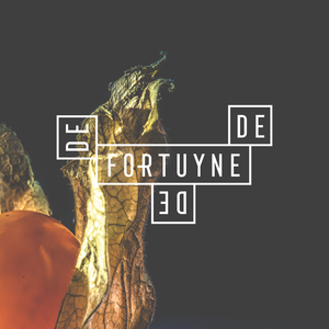 De Fortuyne