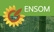 ENSOM