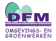 DFM BV
