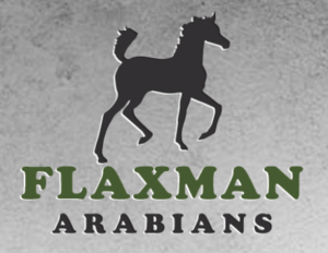 Flaxman Arabians