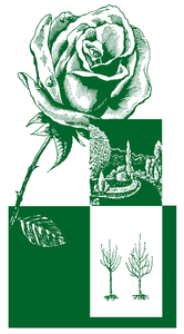 Calle Plant